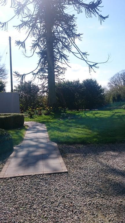 באלימנה Marlagh Lodge מראה חיצוני תמונה